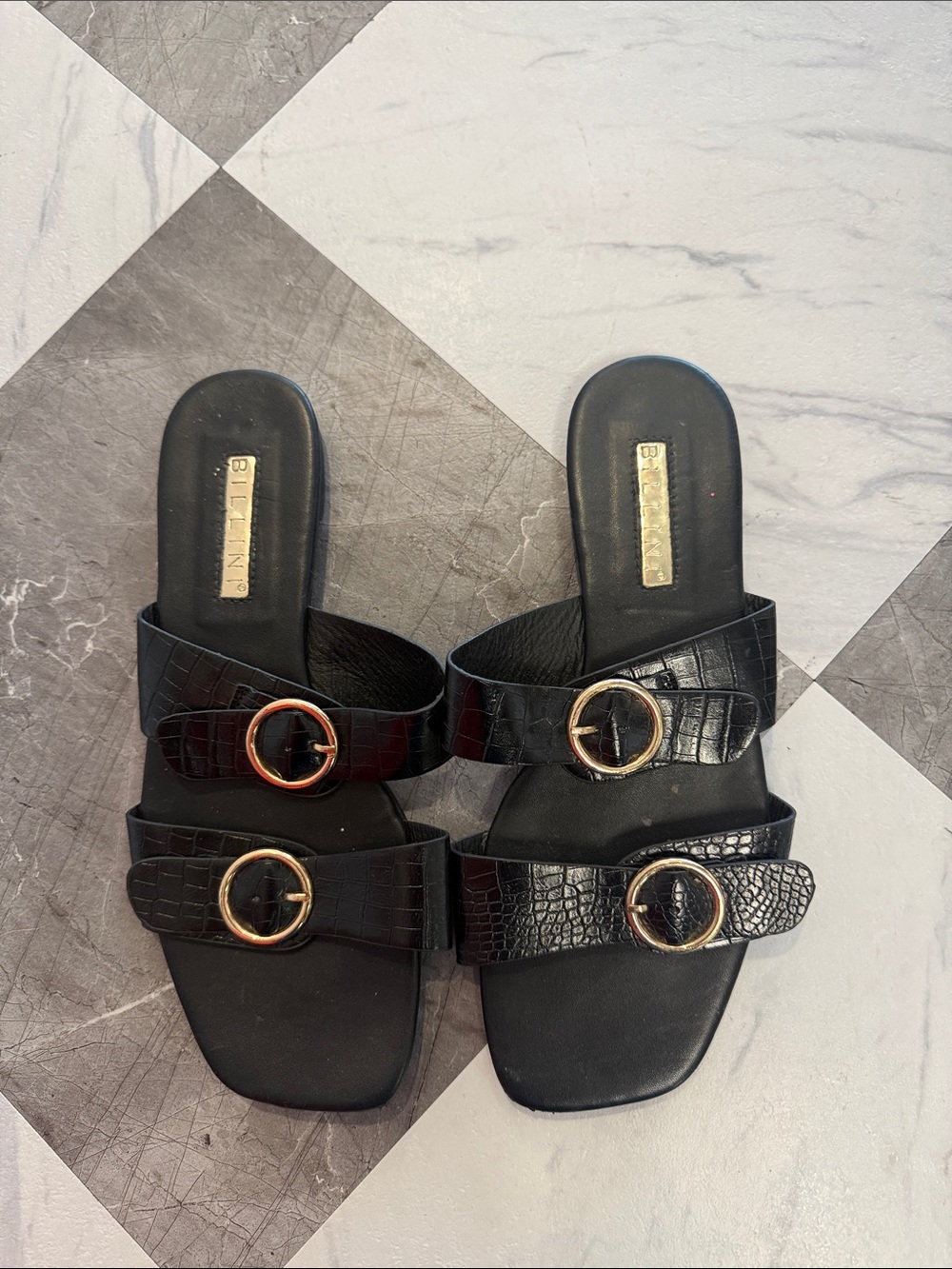 Billini Black Croc-Texture Double Strap Slide Sandals with Gold Buckles